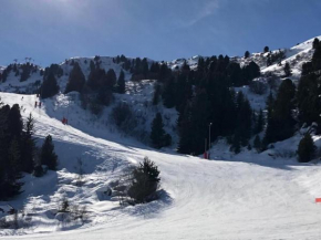 100% renovated duplex, ideal for families, direct access to the slopes!